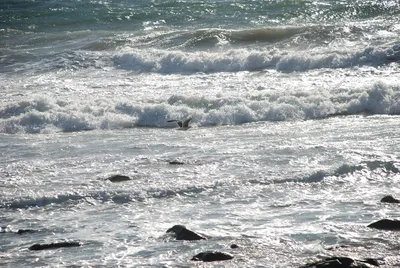 DSC_0065.jpg